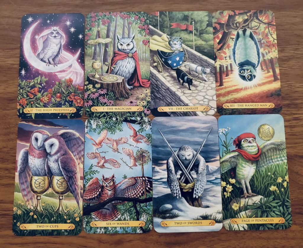 Tarot of the Owls Cards